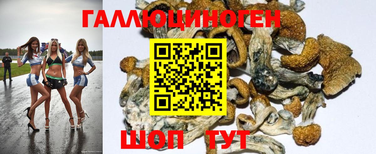 Псилоцибиновые грибы MAGIC MUSHROOMS Псков