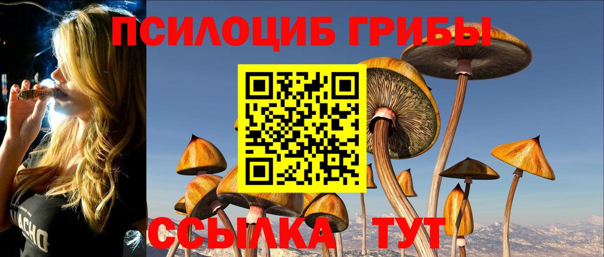 Галлюциногенные грибы прущие грибы  Галлюциногенные грибы Magic Shrooms  где купить наркоту  Вход с VPN  Псков 